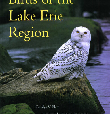 خرید و دانلود نسخه کامل کتاب Birds of the Lake Erie Region