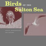 خرید و دانلود نسخه کامل کتاب Birds of the Salton Sea: Status, Biogeography, and Ecology