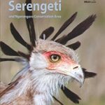 خرید و دانلود نسخه کامل کتاب Birds of the Serengeti: And Ngorongoro Conservation Area