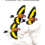 خرید و دانلود نسخه کامل کتاب Birds of the Strait of Gibraltar