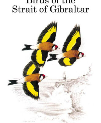 خرید و دانلود نسخه کامل کتاب Birds of the Strait of Gibraltar