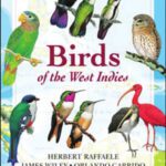 خرید و دانلود نسخه کامل کتاب Birds of the West Indies (Princeton Field Guides)