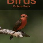 خرید و دانلود نسخه کامل کتاب Birds Photography Photo Book | V24: A picture book Gift for Human
