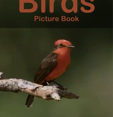 خرید و دانلود نسخه کامل کتاب Birds Photography Photo Book | V24: A picture book Gift for Human