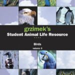 خرید و دانلود نسخه کامل کتاب Birds