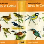 خرید و دانلود نسخه کامل کتاب Birds