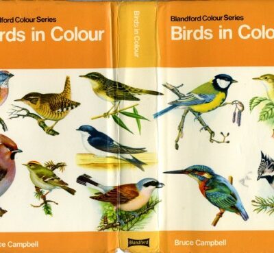 خرید و دانلود نسخه کامل کتاب Birds