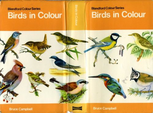 خرید و دانلود نسخه کامل کتاب Birds_68e7c8a87e4f9.jpeg خرید و دانلود نسخه کامل کتاب Birds