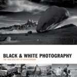 خرید و دانلود نسخه کامل کتاب Black & White Photography: The Timeless Art of Monochrome in the Post-Digital Age