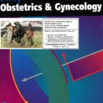 خرید و دانلود نسخه کامل کتاب Blueprints Series: Obstetrics and Gynecology