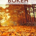 خرید و دانلود نسخه کامل کتاب Bokeh: Creating with shallow depths