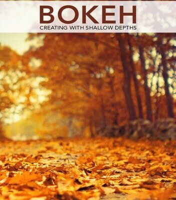 خرید و دانلود نسخه کامل کتاب Bokeh: Creating with shallow depths