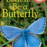 خرید و دانلود نسخه کامل کتاب Born to Be a Butterfly