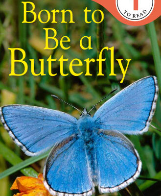 خرید و دانلود نسخه کامل کتاب Born to Be a Butterfly