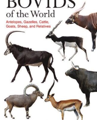 خرید و دانلود نسخه کامل کتاب Bovids of the World :  Antelopes, Gazelles, Cattle, Goats, Sheep, and Relatives