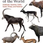 خرید و دانلود نسخه کامل کتاب Bovids of the World: Antelopes, gazelles, Cattle, Goats, Sheep, and Relatives