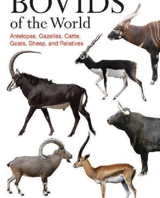 خرید و دانلود نسخه کامل کتاب Bovids of the World: Antelopes, gazelles, Cattle, Goats, Sheep, and Relatives