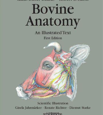 خرید و دانلود نسخه کامل کتاب Bovine anatomy : an illustrated text