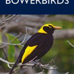 خرید و دانلود نسخه کامل کتاب Bowerbirds (Australian Natural History)