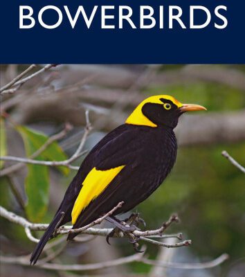خرید و دانلود نسخه کامل کتاب Bowerbirds (Australian Natural History)