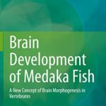 خرید و دانلود نسخه کامل کتاب Brain Development of Medaka Fish: A New Concept of Brain Morphogenesis in Vertebrates