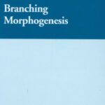 خرید و دانلود نسخه کامل کتاب Branching Morphogenesis (Molecular Biology Intelligence Unit)