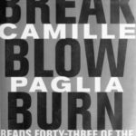 خرید و دانلود نسخه کامل کتاب Break, Blow, Burn