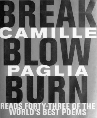 خرید و دانلود نسخه کامل کتاب Break, Blow, Burn