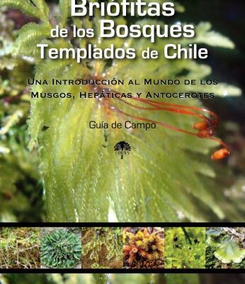 خرید و دانلود نسخه کامل کتاب Briofitas de los bosques templados de Chile