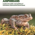 خرید و دانلود نسخه کامل کتاب Britain’s Reptiles and Amphibians. A guide to the reptiles and amphibians of Great Britain, Ireland and the Channel Islands