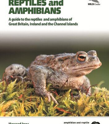خرید و دانلود نسخه کامل کتاب Britain’s Reptiles and Amphibians. A guide to the reptiles and amphibians of Great Britain, Ireland and the Channel Islands