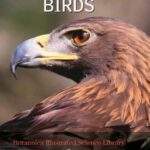 خرید و دانلود نسخه کامل کتاب Britannica Illustrated Science Library Birds