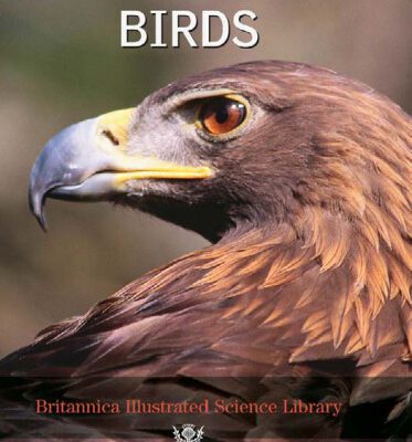 خرید و دانلود نسخه کامل کتاب Britannica Illustrated Science Library Birds