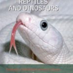 خرید و دانلود نسخه کامل کتاب Britannica Illustrated Science Library Reptiles And Dinosaurs
