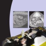 خرید و دانلود نسخه کامل کتاب BSAVA Manual of Canine and Feline Abdominal Imaging