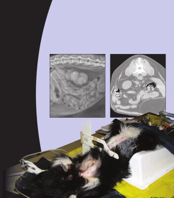 خرید و دانلود نسخه کامل کتاب BSAVA Manual of Canine and Feline Abdominal Imaging