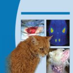 خرید و دانلود نسخه کامل کتاب BSAVA Manual of Canine and Feline Endocrinology