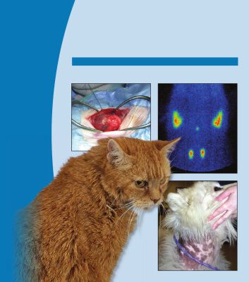 خرید و دانلود نسخه کامل کتاب BSAVA Manual of Canine and Feline Endocrinology