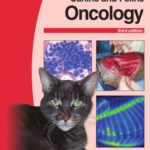 خرید و دانلود نسخه کامل کتاب BSAVA Manual of Canine and Feline Oncology