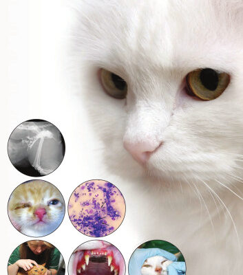 خرید و دانلود نسخه کامل کتاب BSAVA Manual of Feline Practice: A Foundation Manual