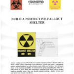 خرید و دانلود نسخه کامل کتاب Build A Protective Fallout Shelter