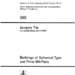 خرید و دانلود نسخه کامل کتاب Buildings of spherical type and finite BN-pairs