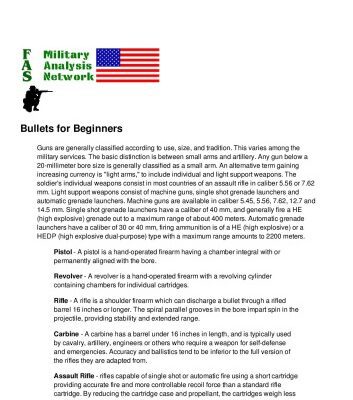 خرید و دانلود نسخه کامل کتاب Bullets for beginners