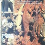 خرید و دانلود نسخه کامل کتاب Bush Foods: Arrernte Foods from Central Australia