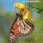 خرید و دانلود نسخه کامل کتاب Butterflies of Alabama: Glimpses into Their Lives