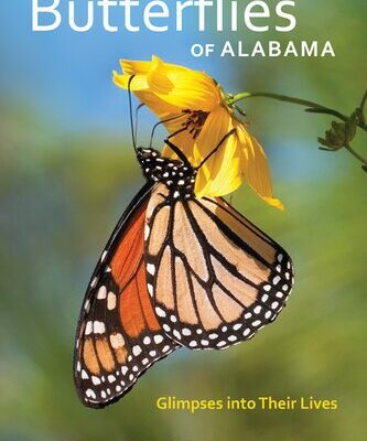 خرید و دانلود نسخه کامل کتاب Butterflies of Alabama: Glimpses into Their Lives