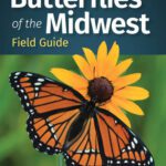 خرید و دانلود نسخه کامل کتاب Butterflies of the Midwest Field Guide