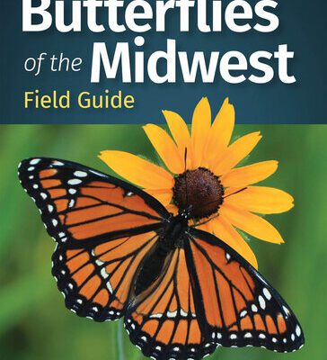 خرید و دانلود نسخه کامل کتاب Butterflies of the Midwest Field Guide
