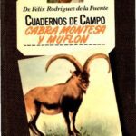 خرید و دانلود نسخه کامل کتاب Cabra montesa y muflón