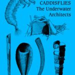 خرید و دانلود نسخه کامل کتاب Caddisflies. The underwater architects